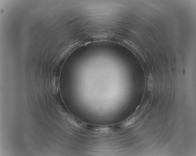 X0000073750428200608241352