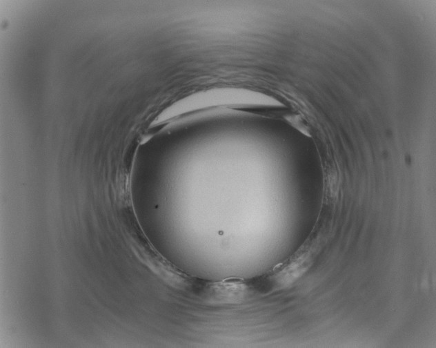 X0000073750429200608241352