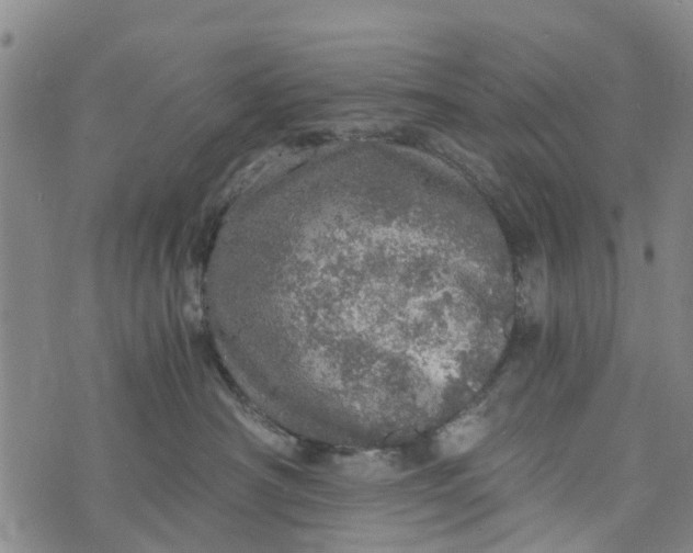 X0000073750430200608241352