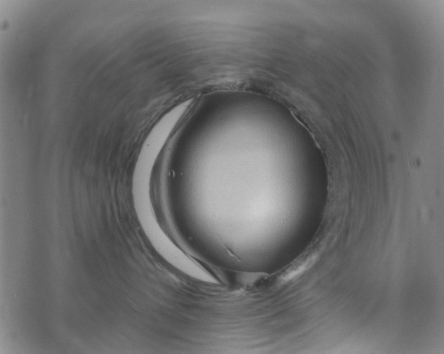 X0000073750432200608241351