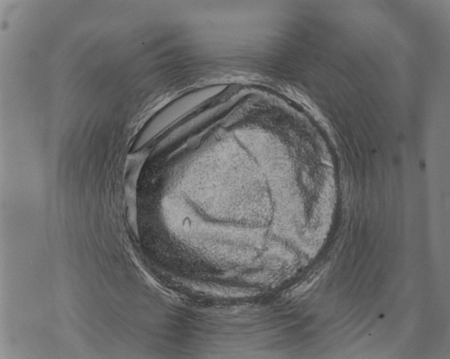 X0000073750433200608241351