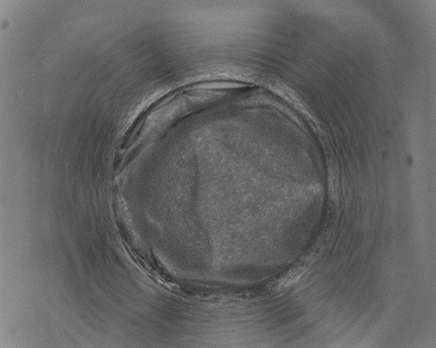 X0000073750434200608241351