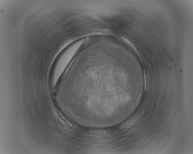 X0000073750435200608241351