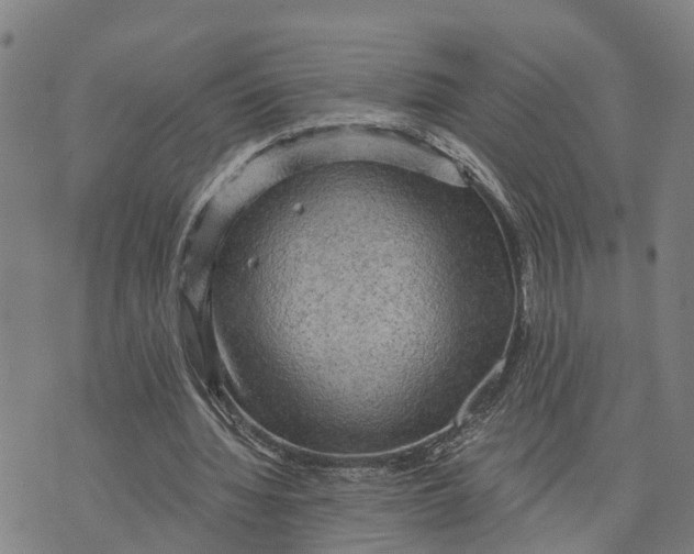 X0000073750436200608241351