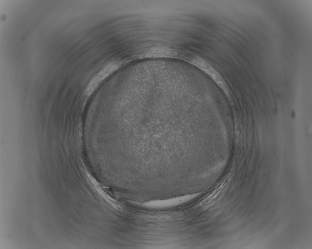 X0000073750437200608241351