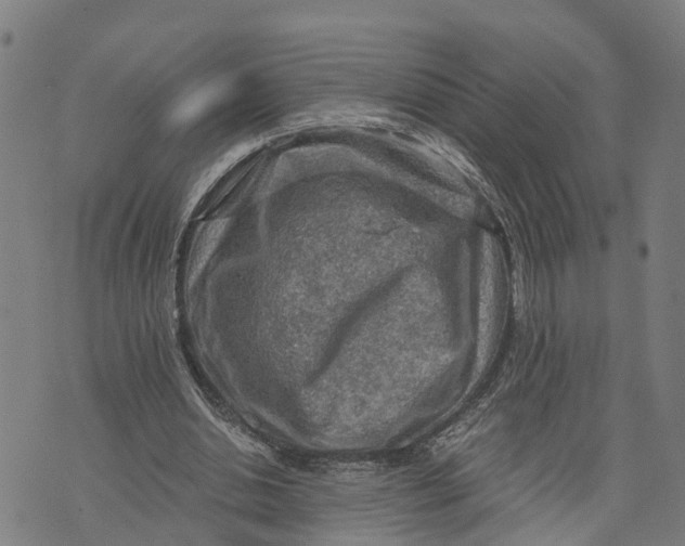 X0000073750438200608241351