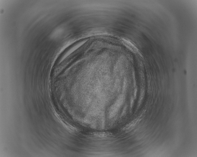 X0000073750439200608241351