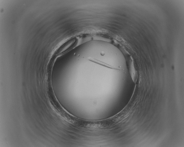 X0000073750440200608241351