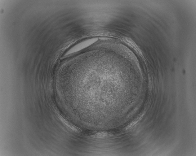 X0000073750441200608241351