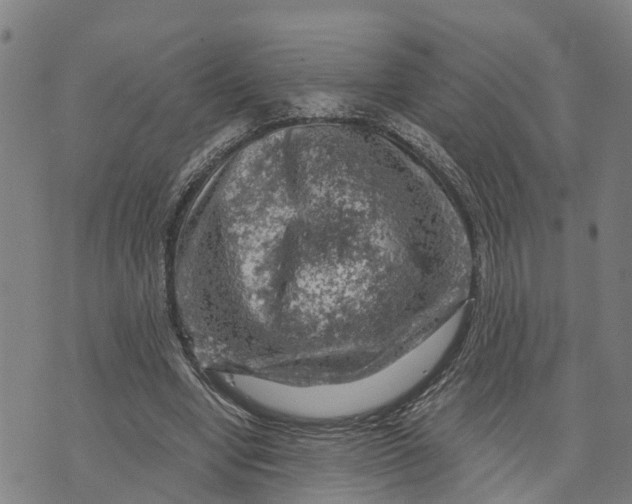 X0000073750442200608241351