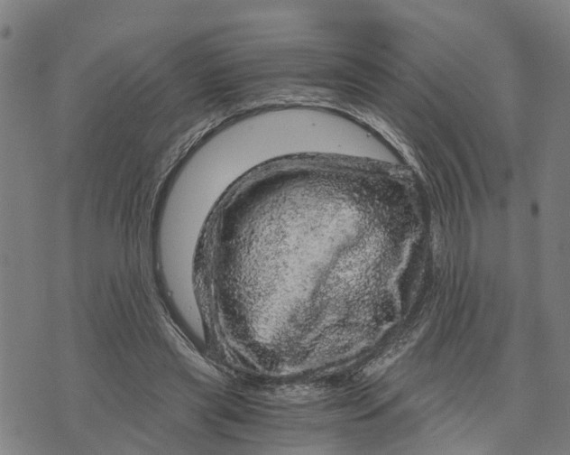 X0000073750445200608241351