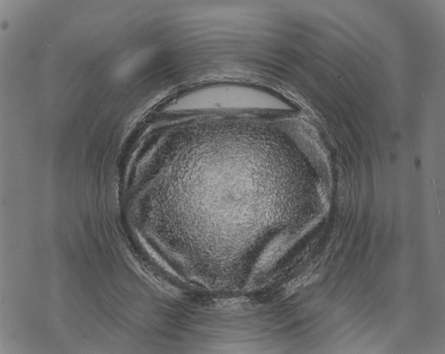 X0000073750446200608241351