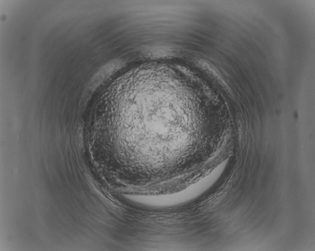 X0000073750447200608241351