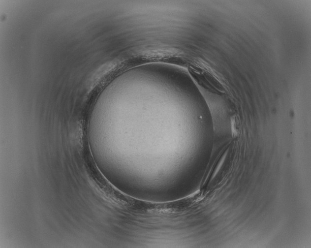 X0000073750448200608241351