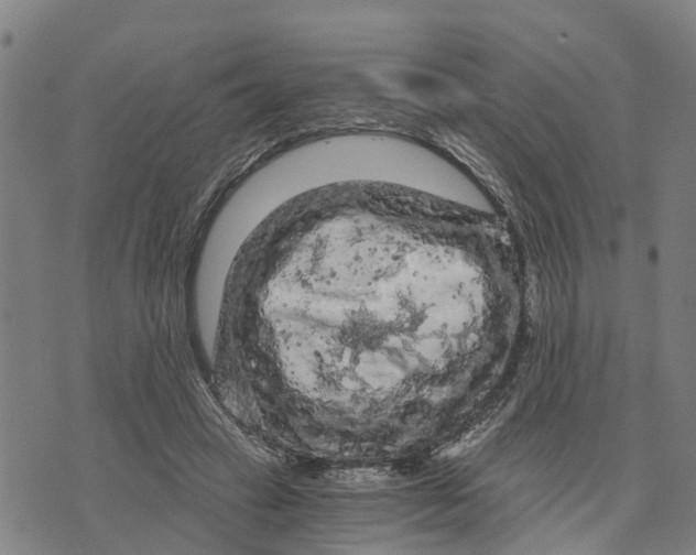 X0000073750449200608241351