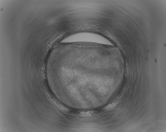 X0000073750450200608241351