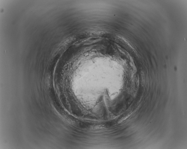 X0000073750451200608241351