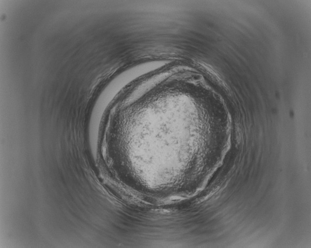 X0000073750453200608241351