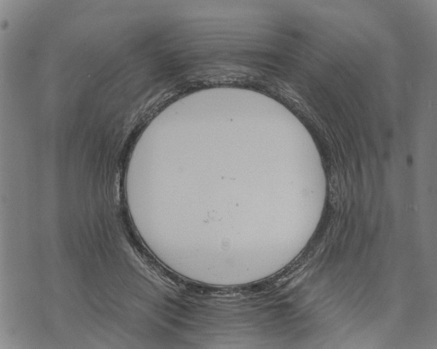 X0000073750454200608241351