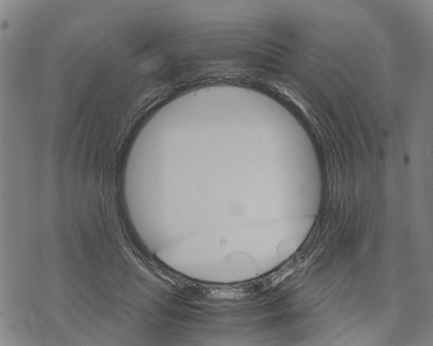 X0000073750455200608241351