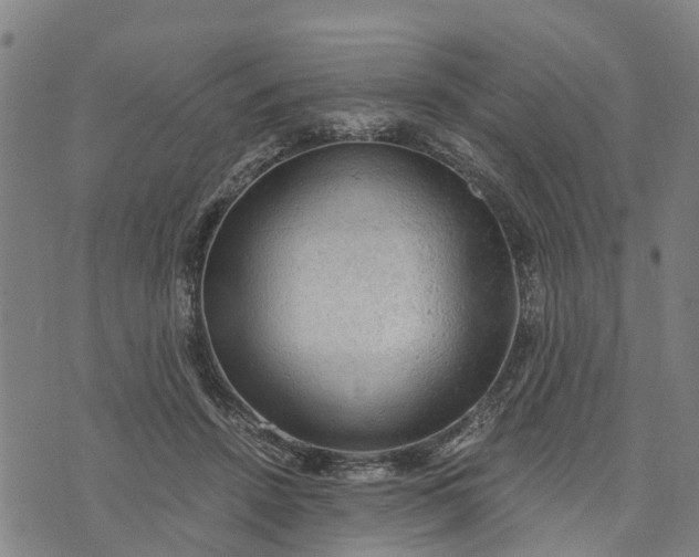 X0000073750456200608241351