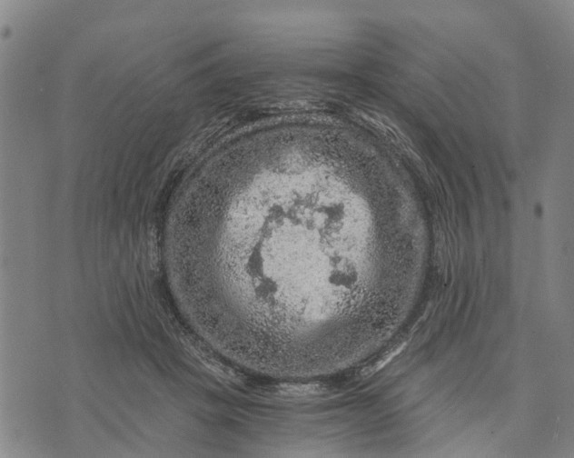 X0000073750457200608241351