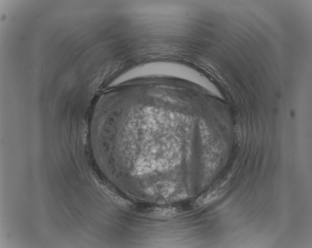 X0000073750458200608241351