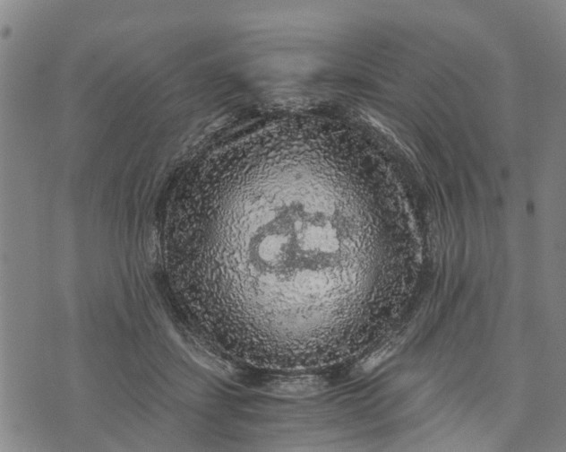 X0000073750459200608241351