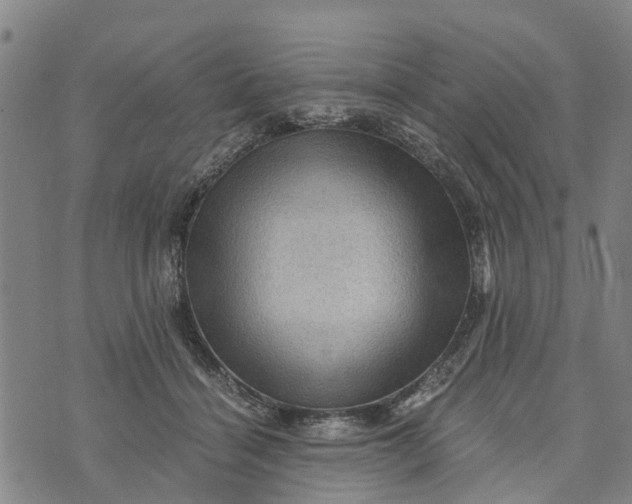 X0000073750460200608241351