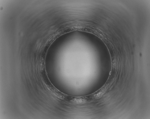 X0000073750464200608241351