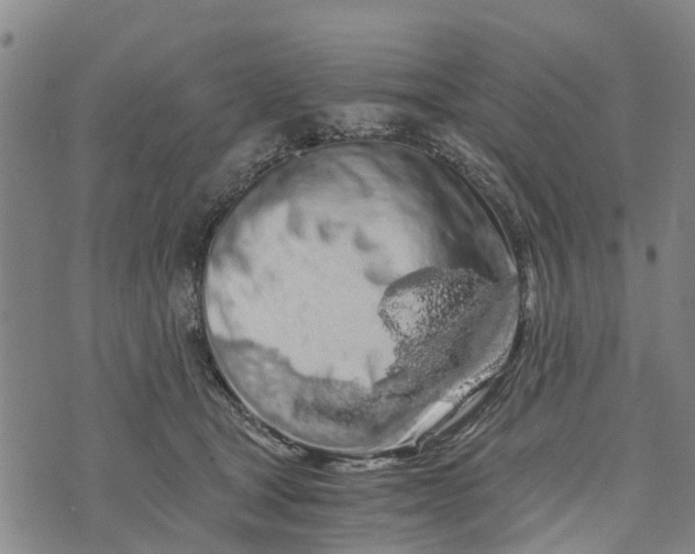 X0000073750465200608241351