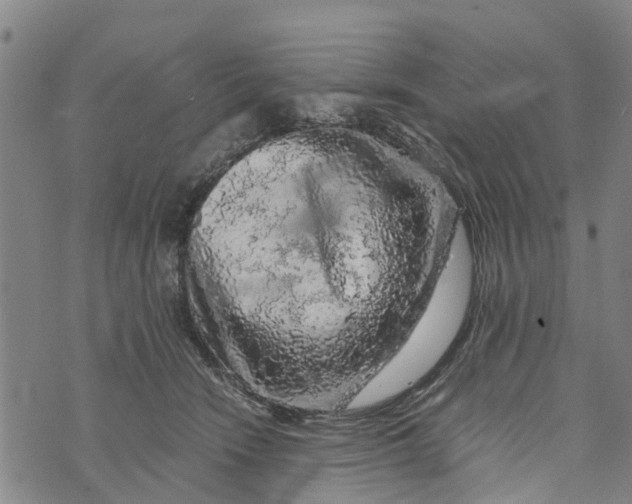 X0000073750466200608241351