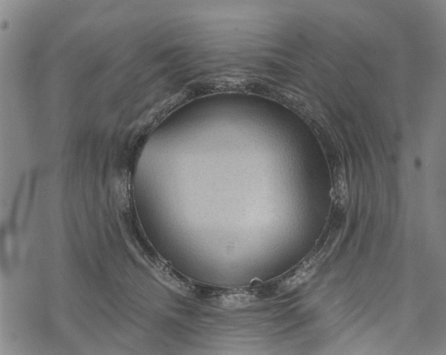 X0000073750468200608241351