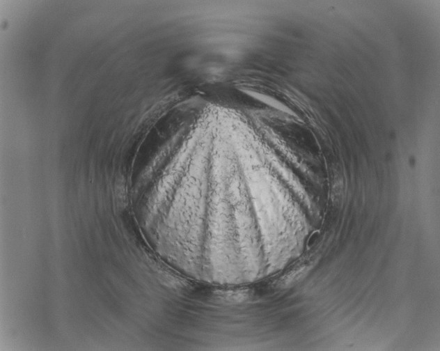 X0000073750469200608241351