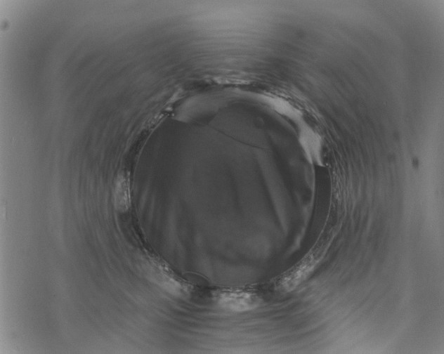 X0000073750471200608241351