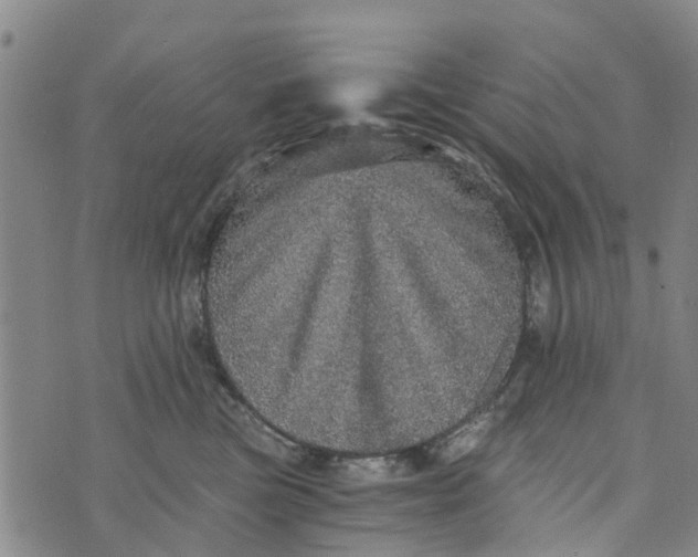 X0000073750473200608241351