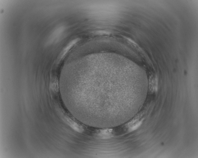 X0000073750474200608241351