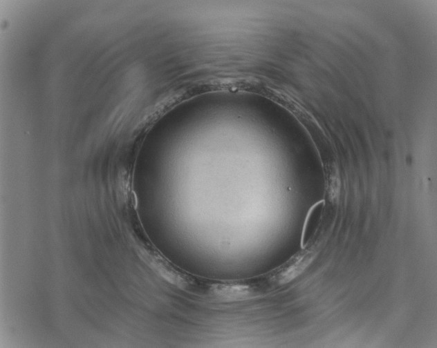 X0000073750476200608241351