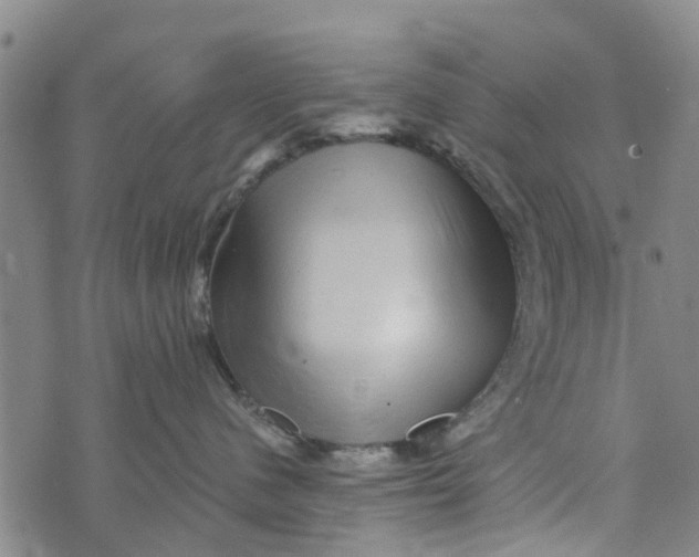 X0000073750480200608241351