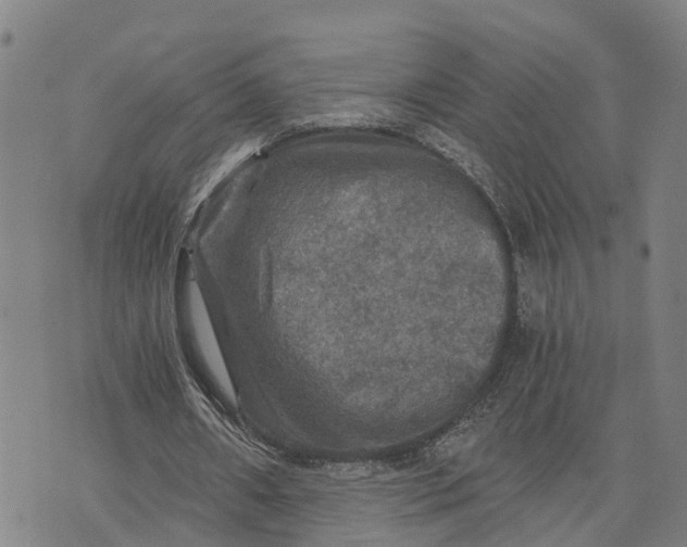 X0000073750482200608241351