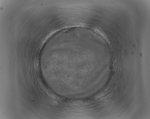 X0000073750483200608241351