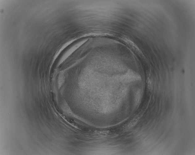 X0000073750484200608241351