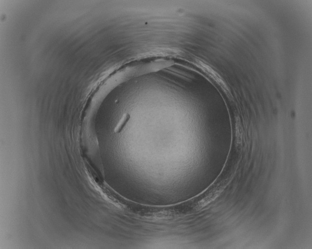 X0000073750485200608241351