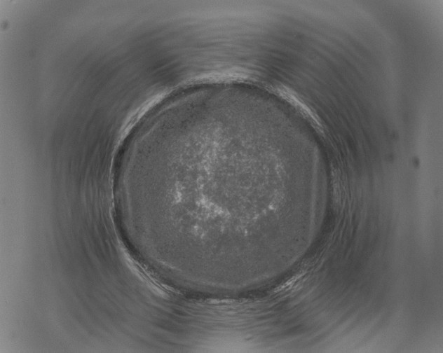 X0000073750486200608241351