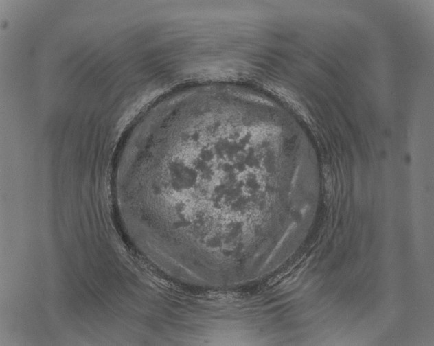 X0000073750487200608241351