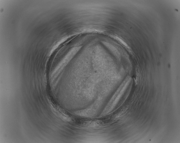 X0000073750488200608241351