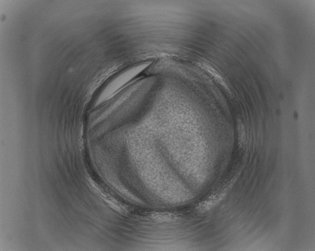 X0000073750490200608241351