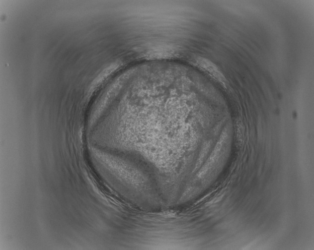 X0000073750491200608241351