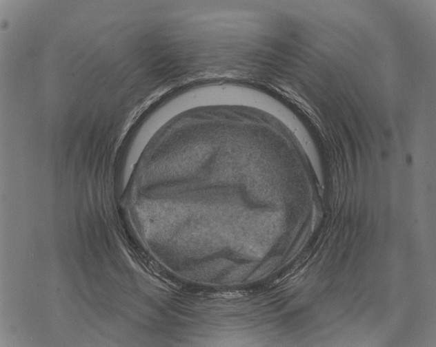 X0000073750492200608241351