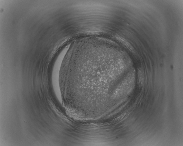 X0000073750494200608241350